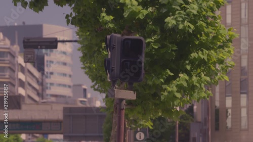 夏の陽に照らされる東京の歩行者用信号機