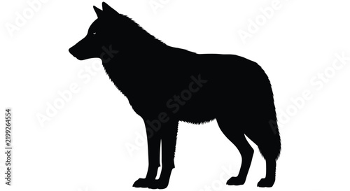 Fotografie Wolf silhouette against a white background a stark and graphic representation