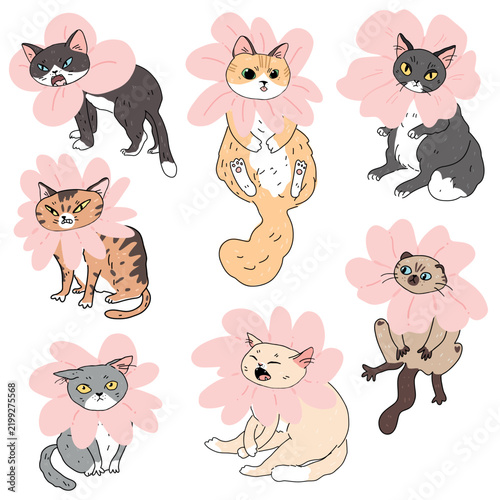 Cute vector set of funny cats wearing colorful flower hats. Adorable floral characters isolated on a clean white background