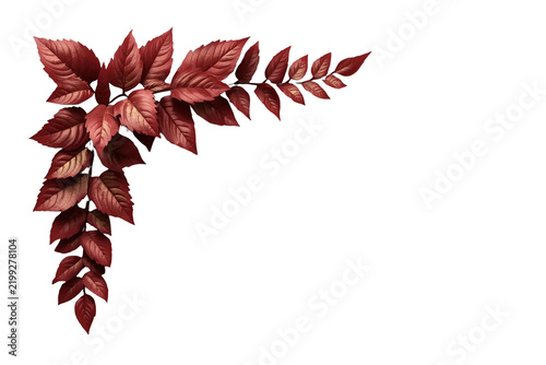 L shaped border of burgundy fall foliage