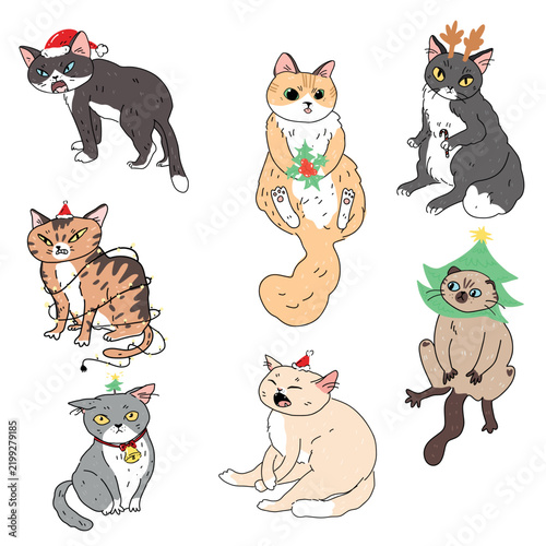 Funny Christmas cat vector illustration featuring playful cats in Santa hats, reindeer antlers, Christmas tree hats and festive accessories. White background.