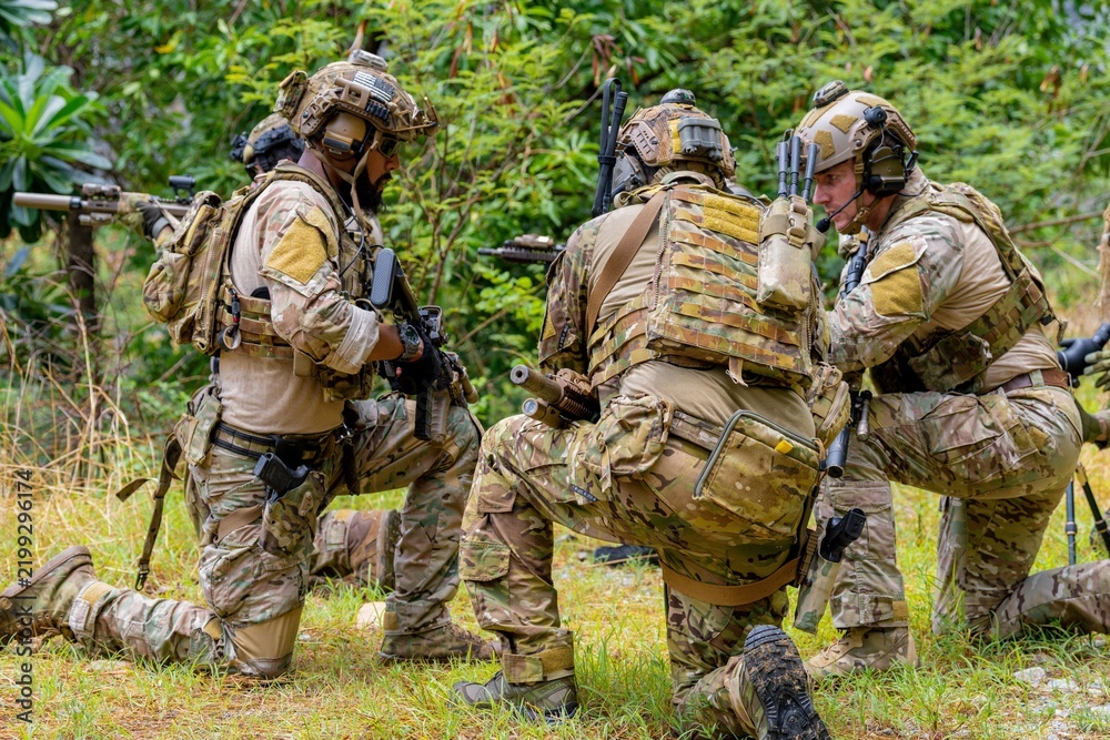 Fototapeta premium Soldiers training in a forest environment during a tactical exercise