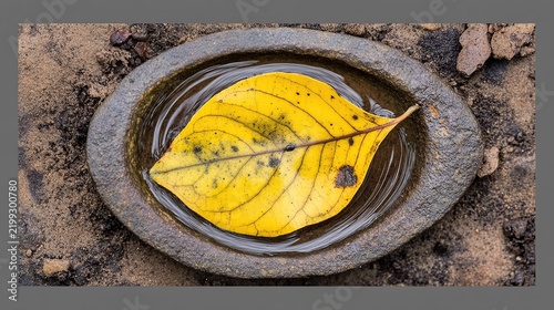 Circular muddy imprint enclosing a bright yellow leaf trapped inside a weathered ring amid damp earth