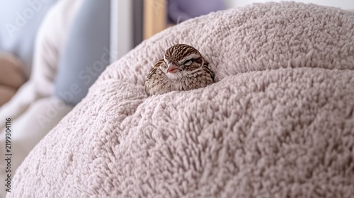 Close-up of a tiny animal peeking from a plush beige blanket, creating a cozy scene