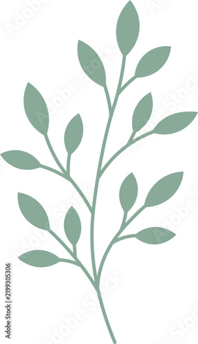 minimalist botanical leaf branch vector shape
