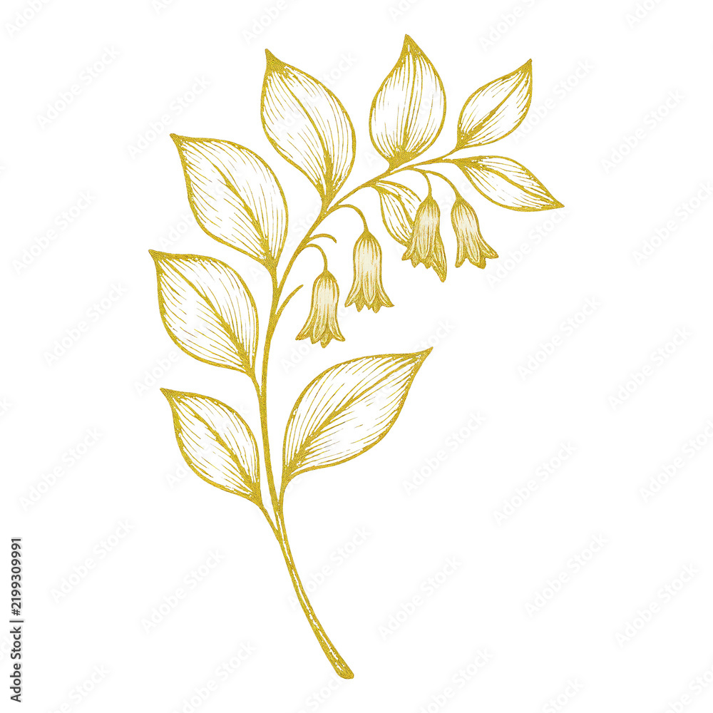 Obraz premium PNG Elegant golden floral illustration