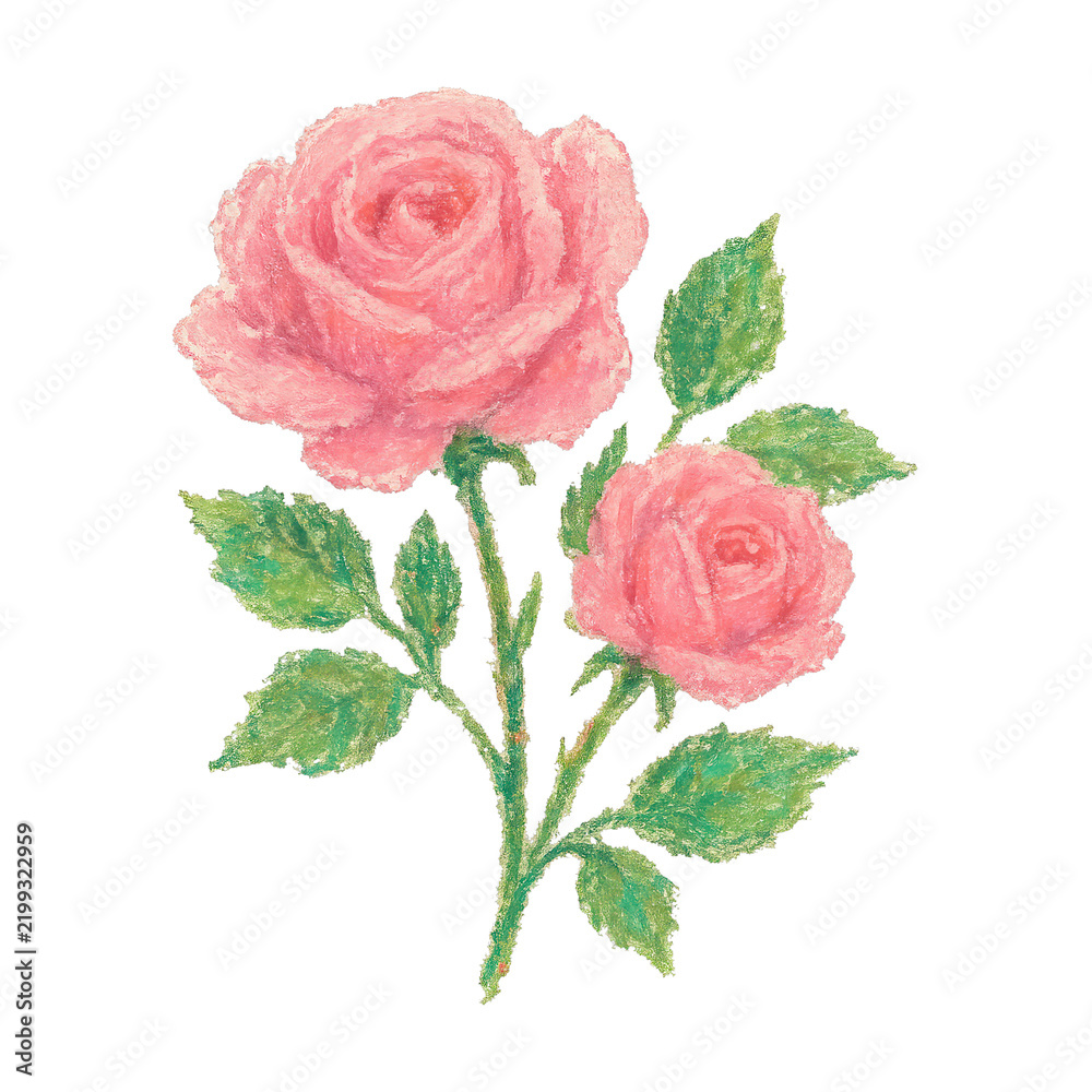 Obraz premium PNG Delicate pink roses painting