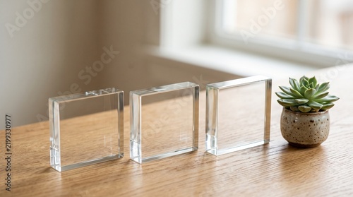 Three clear glass square blocks arranged on a wooden table with a succulent