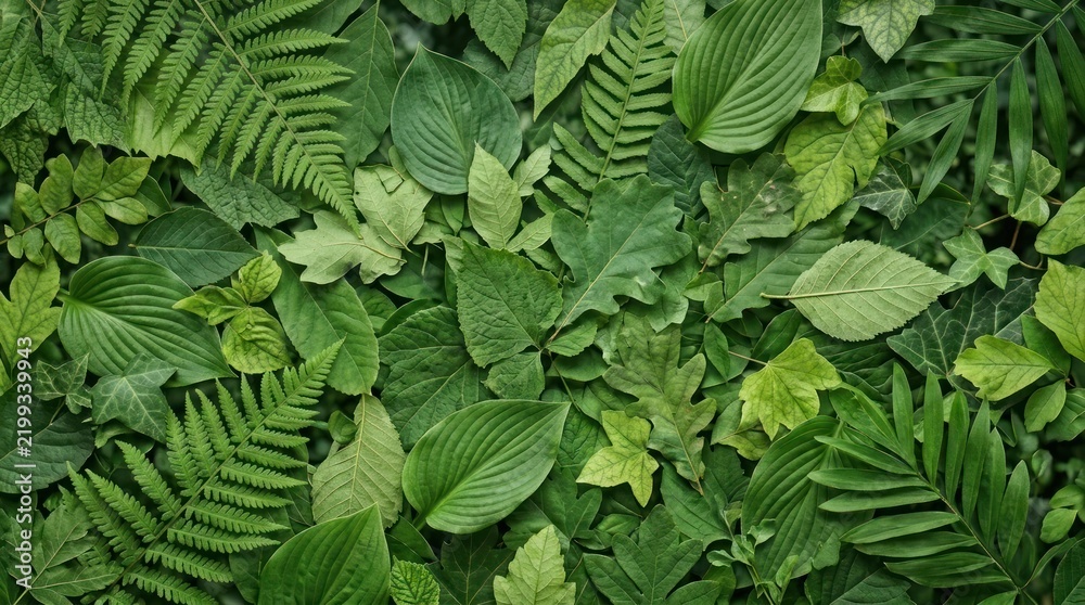 Obraz premium A lush green wall of various leafy plants, including ferns, hostas, and other greenery, with a mix of green and brown leaves, set against a dark background.