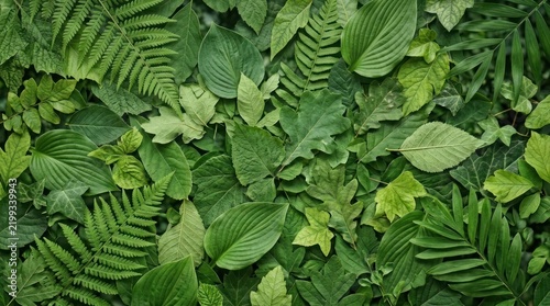 A lush green wall of various leafy plants, including ferns, hostas, and other greenery, with a mix of green and brown leaves, set against a dark background.