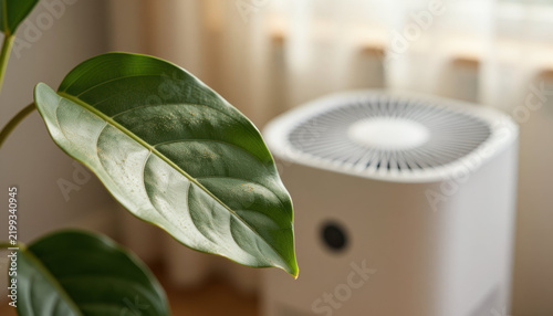 Houseplant leaf macro green leaf indoor plant air purifier close up natural light home interior leaf texture plant detail fresh foliage