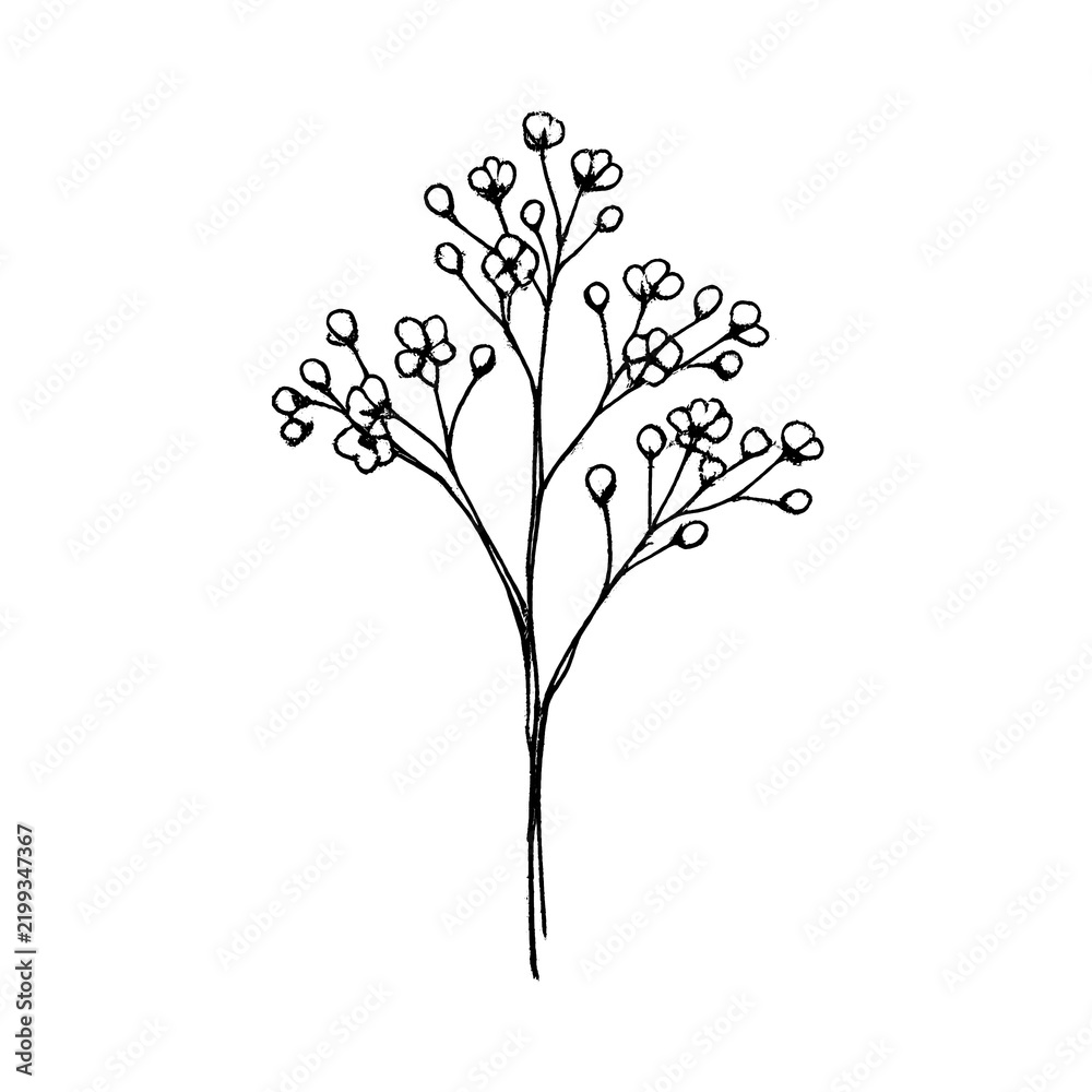 Obraz premium PNG Minimalist botanical line art illustration.