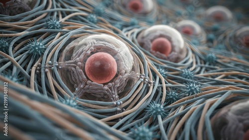 Intricate Microscopic View of Cellular Structures and Fibers