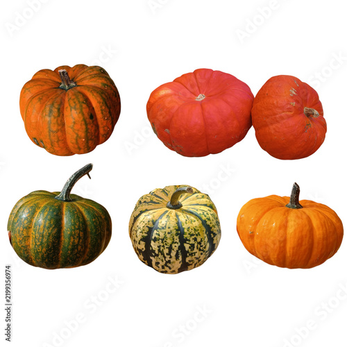 Colorful assortment of decorative autumn pumpkins