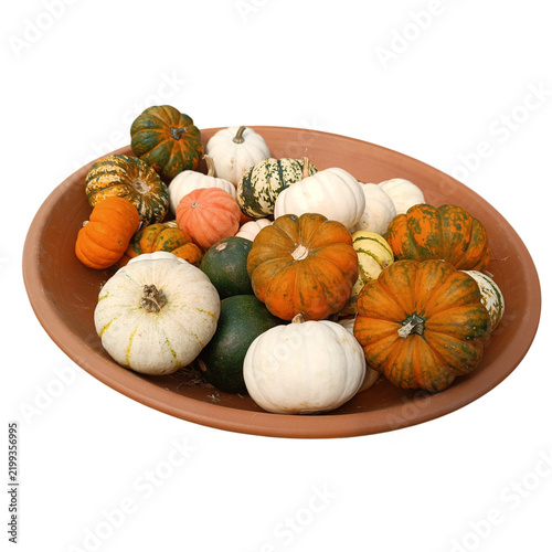 Colorful Autumn Pumpkins and Gourds Arranged in a Terracotta Bowl
