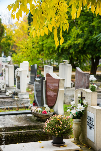 grave yard at the october