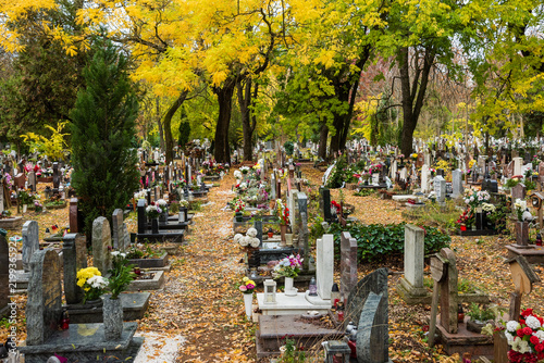 grave yard at the october