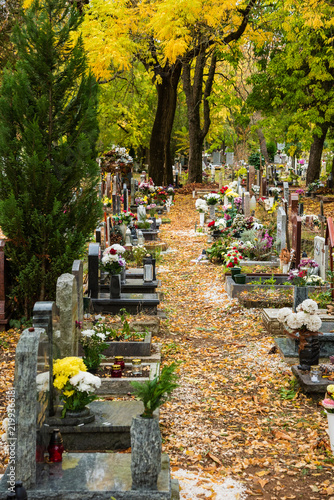grave yard at the october