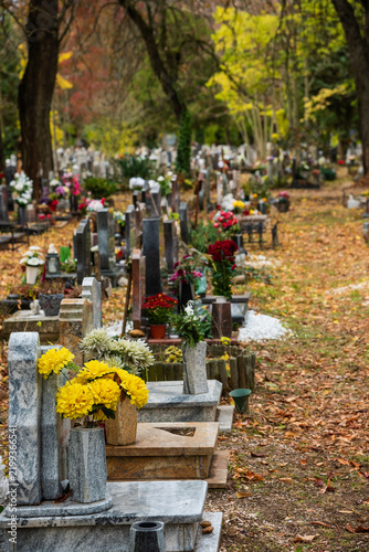 grave yard at the october