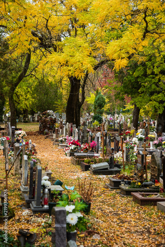 grave yard at the october