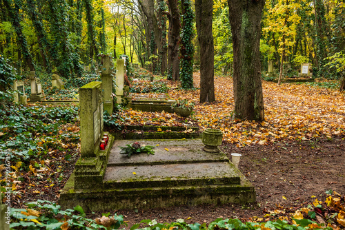 grave yard at the october