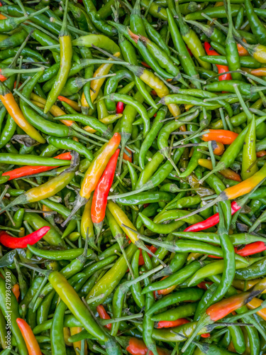 Obraz na plátne Fresh Green and Red Bird Eye Chilies Background