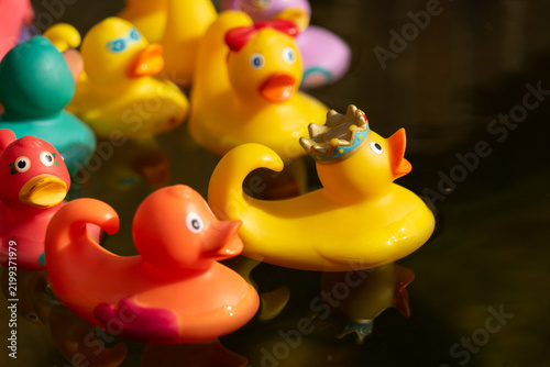 Bright red, yellow, and green toy rubber ducks, including a crown-wearing duck, floating peacefully in the dark reflective water of an outdoor garden pond or trough.