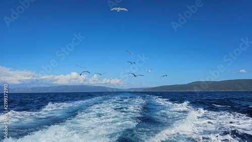 Photography sunny day with blue sea and birds