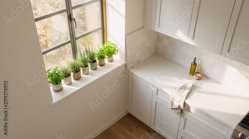 Beautiful Indoor Succulent Plant in White Pot on Bright Windowsill