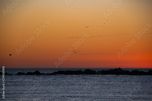Foto View from the beach at sunset with strings of seabirds visible against the red hue of the setting sun as they journey out from Blouberg beach to roost for the night on Robin Island