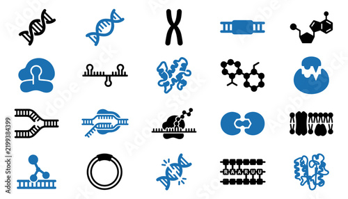 Quadro su tela molecular biology macromolecules and gene regulation icon set vector