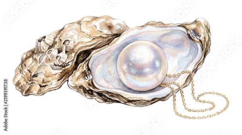 Watercolor of Elegant Pearl Inside Open Oyster Shell with Intricate Textures and Soft Colors, isolated on transparent background