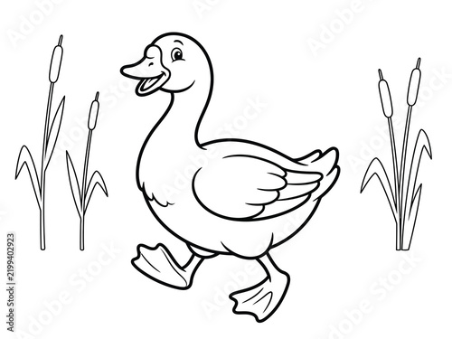 Canvastavla Charming illustration of a happy duck walking among cattails and reeds