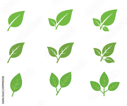 Green Leaf and Plant Icon Collection