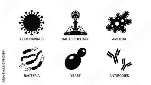 Microbiology Science and Virology Vector Design and Illustration Featuring Coronavirus Bacteriophage Amoeba Bacteria Yeast and Antibodies Icons