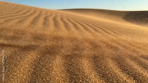 Desert Dunes in Wind: Rippling sand dunes under a clear sky, sculpted by the wind, create a mesmerizing pattern of golden waves, evoking a sense of vastness and arid beauty.