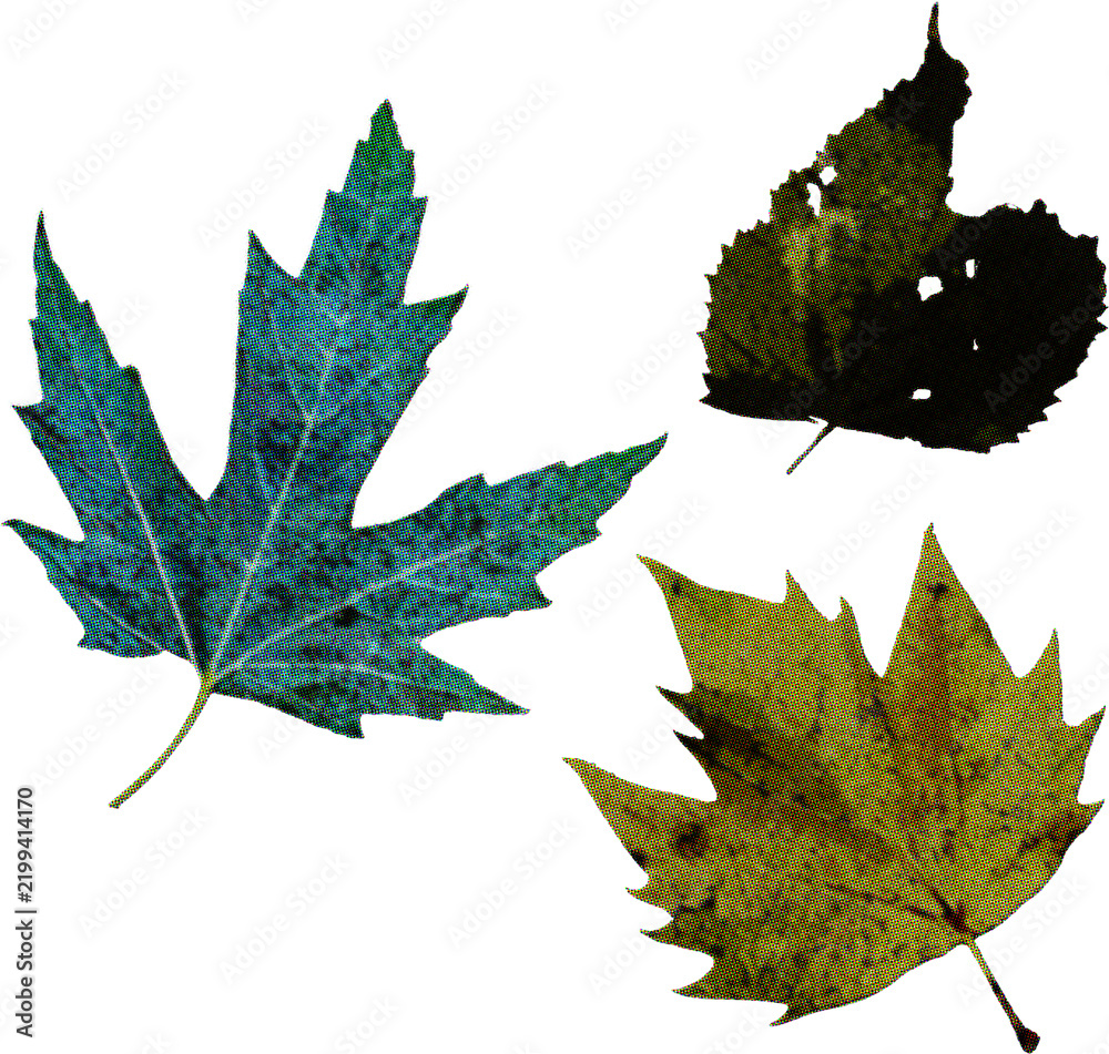 Fototapeta premium Dark fall leaves halftone dots screen-print style, isolated on transparent background. Maple, hazel or birch leaf with dark halftone shading, grunge scrapbook cut-outs.