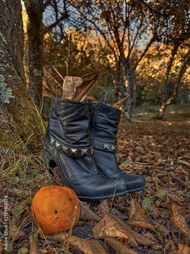 Black leather witch boots filled with dry leaves and branches beside a small orange pumpkin at the base of a tree, creating a whimsical and mysterious Halloween scene in an autumn woodland.