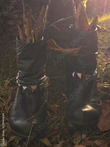 Close-up of black leather witch boots filled with dry leaves and branches in warm backlight, creating a mysterious magical Halloween and witchcraft concept in an autumn woodland.