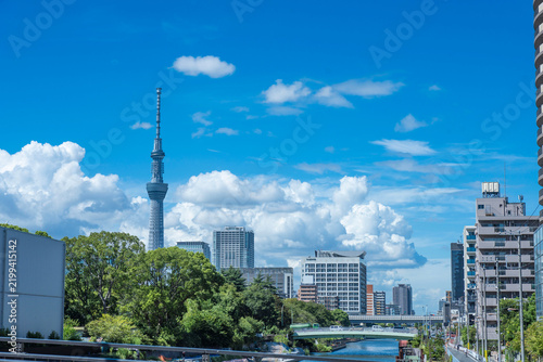 Fototapeta 青空と白い雲の中にそびえ立つ東京スカイツリーと、緑に囲まれた都心の公園からの眺望