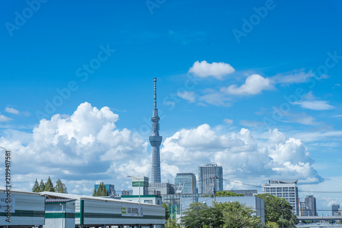 Fototapeta 青空と白い雲の中にそびえ立つ東京スカイツリーと、緑に囲まれた都心の公園からの眺望