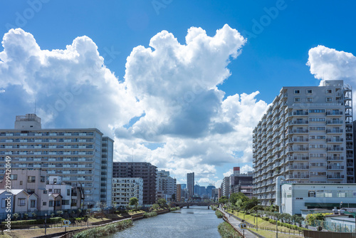 Fototapeta 夏の青空とモコモコとした巨大な入道雲が広がる、クローバー橋から望む小名木川の絶景