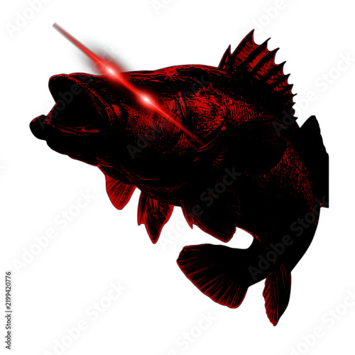 Largemouth Bass Fish with Laser Eyes Red Illustration on White