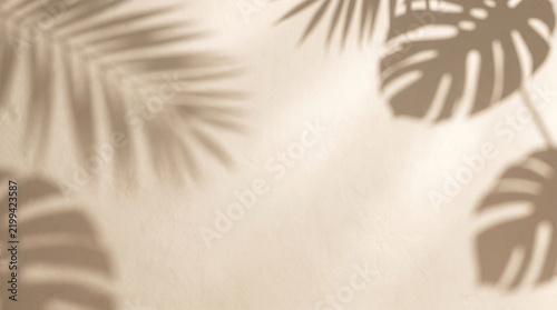 Elegant botanical shadow background with soft natural light and a refined minimalist aesthetic, ideal for luxury branding, wellness advertising and editorial design.