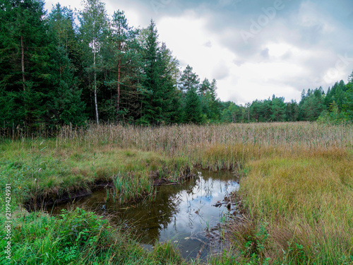 Fotografie Ellbach- und Kirchseemoor Nature Reserve in Bavarian Alps