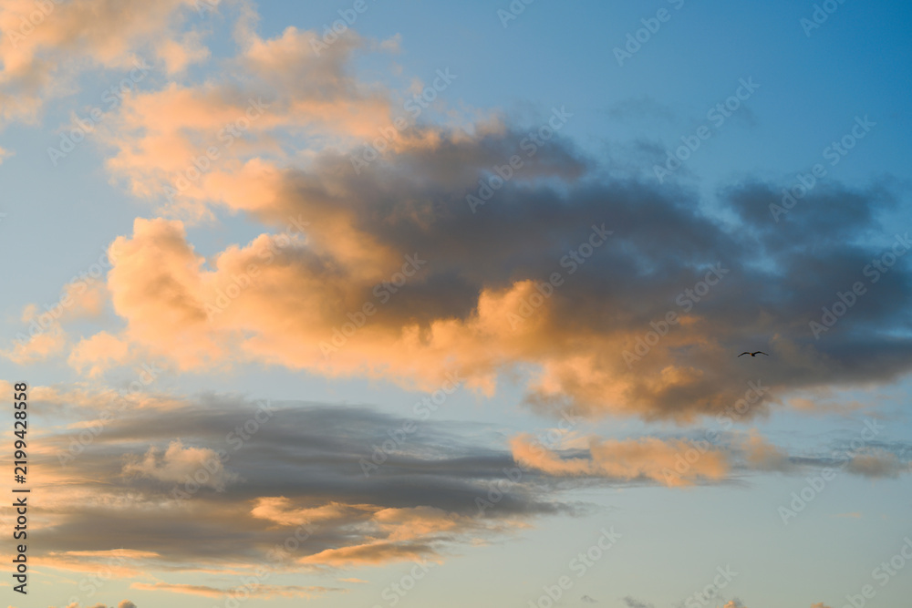Fototapeta premium Sunlit clouds glow in warm evening colours above Saint Ives, Cornwall, England, with lone seagull crossing expansive coastal sky at sunset.