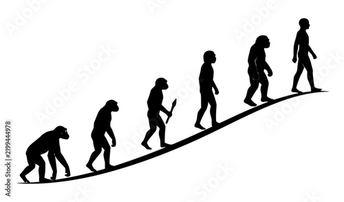 Canvastavla Human Evolution Timeline Vector Illustration