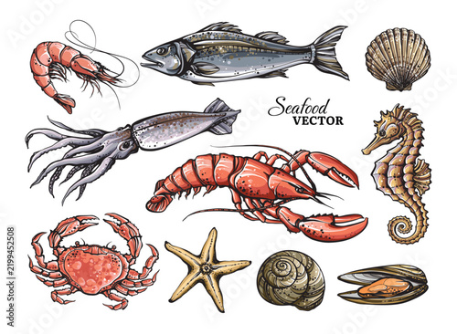 Сolorful seafood vector set. Stylized marine animals elements isolated on white background.	