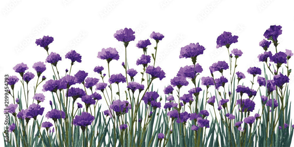 Naklejka premium Beautiful cascading purple wisteria flowers hanging from a branch with green leaves on white background