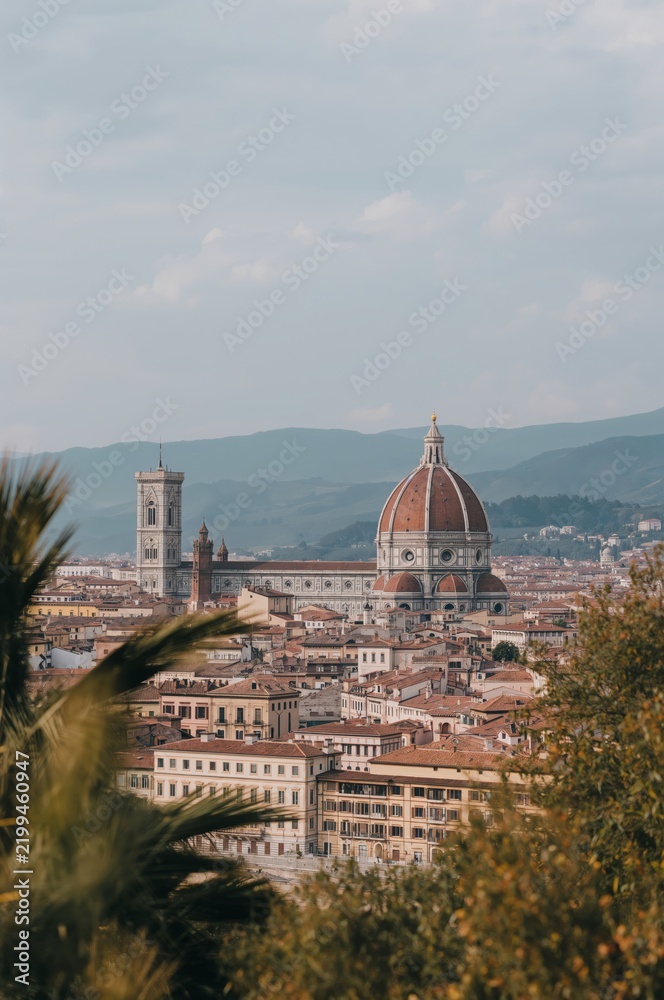 Fototapeta premium View of Florence With the Dome and Tower During the Day
